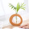 KWQBHW Reagenzglasvase mit Holzständer, 1 Stück Glas-Pflanzgefäß, Anzuchtstation, transparente Röhre, Blumenvase, Desktop-Pflanzen-Terrarium, Glasvase für Büro, Heimdekoration