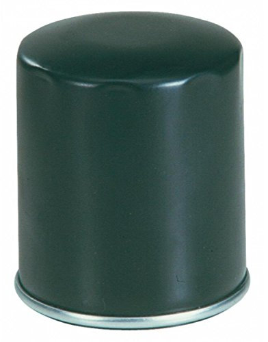 Olio Avvitabile adattabile a 2175.040 per motori Lombardini-Goldoni-Pasquali