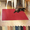 KARAT Sisal Fußmatte Teppich Vorleger Kratzteppich Katzenmöbel Kratzmatte Sisalmatte, widerstandsfähig & in vielen Farben und Größen erhältlich (160 x 240 cm, Rot)