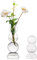 Hewory - Jarrón pequeño de cristal para flores, 2 jarrones transparentes para flores individuales, jarrón de rosa individual de color, jarrón estético para sala de estar, dormitorio, adornos para