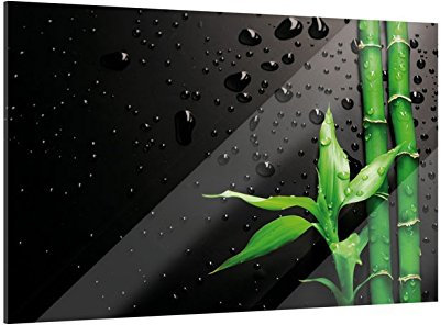 Klebefieber Glasbild Bambus B x H: 60cm x 40cm