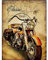 YSCOLOR Diamond Painting 5D Diamant Mosaïque Diamant Peinture Kit Point De Croix Moto Diamant Broderie Complète Rond Foret Décoration De Noël Cadeaux 30X40Cm