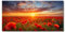 ZQQART Wandkunst mit rotem Mohn elegantes rotes Mohnblumen Blumenbild großes Mohnblumenfeld Gemälde Leinwanddrucke für Wohnzimmer Landschaftsposter (Blau,50x100cm)