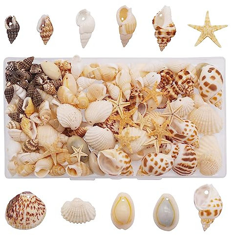 130 Stück gebohrte Muscheln natürlichen Ozean Strand Spirale Muscheln Seestern Perlen für Schmuck machen DIY Handwerk Home Decoration