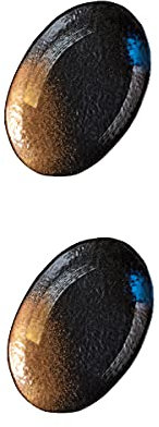 JINFEUGE Creative Oval Fish Plate, Japanese-Style Retro Ceramic Salad Plate 10 Inch,2 Pieces/a