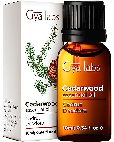 Gya Labs Zedernholz Ätherisches Öl für Haar und Diffusor -für Haar, Aromatherapie & Haut - Frischer, holziger, kiefernartiger Duft - 100% natürlich (10ml)
