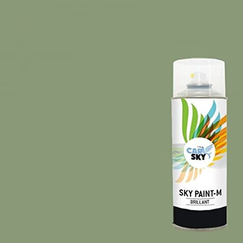 CARSKY Bombe de peinture RAL Vert Pâle 6021 finition brillante 400ml
