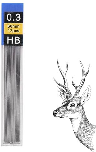 Wonsfuleu Minen Für Druckbleistifte - 12 Stück Bleistiftminen Nachfüllpack - Schulbedarf Für Prüfungen Schüler Schule Haus Freunde Jugend Familie Mädchen