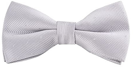 WANYING Noeud Papillon Classique pour Homme Déjà Noué avec Fermeture à Crochet 12 * 6 cm Élégant Gentleman - À Pois Gris clair