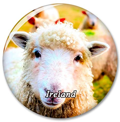 Irland Schaf Kühlschrank Magnet Dekorativer Magnet Aufkleber Reise Souvenir Sammlung Tourist City Geschenk Whiteboard Küche