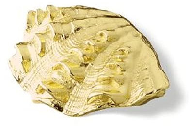 SIRO Möbelgriff Senftenberg, Meer, Muschel, Design, Druckguss glänzend vermessingt, 59 mm x 33 mm x 29 mm, LA 16 mm, 1122-59ZN5