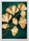 ARTFAVES® Poster - Eukalyptus Gold Grün | Wanddeko Wandbild Fotografie Abstrakt | mit Rahmen Weiss | 30 x 40 cm