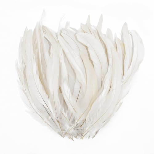 Demarsen 20Pcs Federn Weiss Groß 25-30cm Natur Hahn Feder Hahnenfeder Fasanenfeder Federn zum Basteln Deko Federn für DIY Basteln Kostüme Kopfschmuck Ostern Halloween Weihnachten