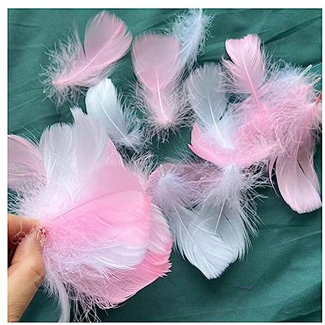 Yurosiay 100 Stück Bunt Federn Natürliche Federn Handwerk Gänsefeder Bunt Federn Deko Federn zum Basteln Flaumfedern Bastelfedern Deko für DIY Ohrring Kopfschmuck Traumfänger 6-12cm Weiß+Rosa
