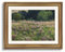 ARPEOTCY Wandkunst, Vintage, goldgerahmt, 40,6 x 50,8 cm, Wildblumen, Bild, Retro-Gemälde, große Leinwanddrucke, Kunstwerk, klassische Naturlandschaft, Wanddekoration für Schlafzimmer, Wohnzimmer,