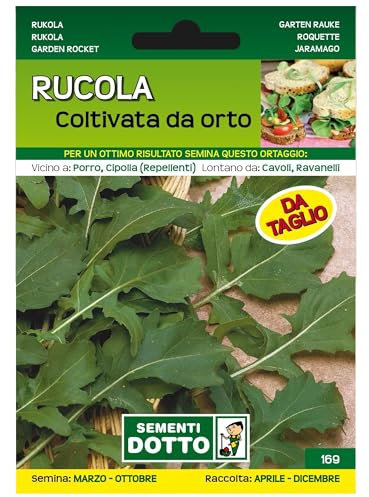 Sicignano | Semi Rucola Coltivata da Orto, Taglia Media, Busta Extra - 2 Confezioni da 17g, Germinazione Facile, Raccolto Continuo da Aprile a Dicembre