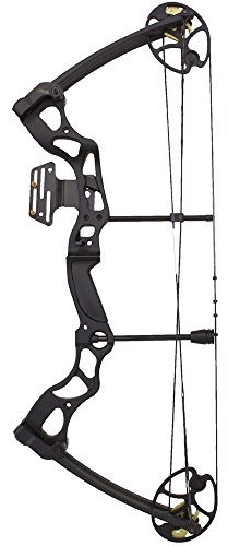 Hellbow Verstellbarer Compound-Bogen 26-30 / 50-70 LBS, Schwarze Farbe, für Rechtshänder, er besitzt EIN Visier mit 2 Stiften