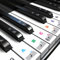 Piano Keyboard Stickers White and Black Keys Piano Notes Stickers for 37/49/54/61/88 Key Removable Keyboard Letters Colorful Large Transparent Sticker for Kids and Beginners