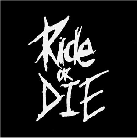 ZHANGXIN Fahrradrahmen-Aufkleber Ride or Die, Oberrohr-Aufkleber für MTB, Fahrrad, Auto, Karosserie, Fenster, Stoßstange, Dekoration (Weiß, 11,4 x 15 cm)