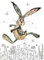 Bug Art Blanko-Grußkarte – Hesper Hase