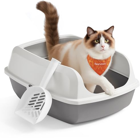 Feandrea Katzenklo XXL mit hohen Seitenwänden, mit Schaufel | Offene Katzentoilette für Kätzchen und große Katzen, wolkenweiß, BOXAL Kollektion PPT010W101