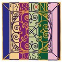 Pirastro Passione Double Bass String E