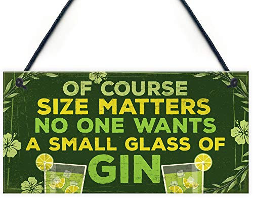 RED OCEAN Funny Novelty GIN Gifts For Women Gin And Tonic Sign Rude Home Bar Pub Kitchen Hanging Plaque Decor