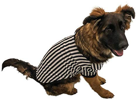 Midlee Halloween-Kostüm für Schiedsrichter, Größe XXL, Schwarz-Weiß gestreiftes Hemd, Ideal für Halloween, Spielpartys und mehr