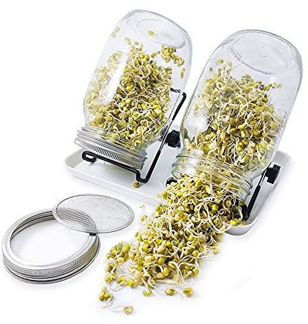 JARAGAR Sprouting Jar Kit, 2 Mason Jars 36oz with Stainless Steel Screen Lids, Tray and Stand, Seed Growing Set for Home Kitchen Bean Sprouts, Broccoli Seeds, Alfalfa, Salad-1000ml