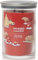 Yankee Candle Big Apple Christmas Large 2-Wick Signature Tumbler Candle