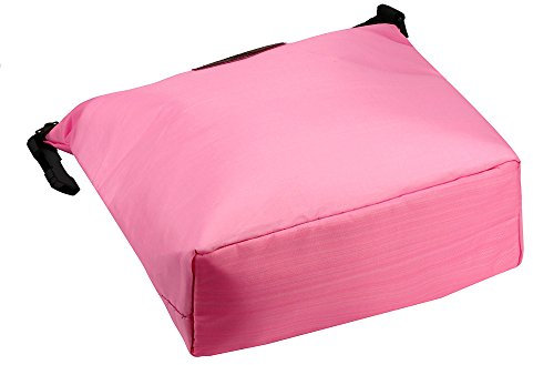 Mochila aislada para mujer, lonchera portátil, bolsa de picnic, bolsa escolar + lápiz + bolsa de almuerzo (rosa, talla única)