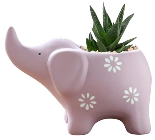 DAGLLGEW Elefant -Pflanzer Keramik Tier Pflanzer 5,5 x 3,2 Zoll Sukkulenten Pflanzer Nicht -Slip -Sukkulenten -Töpfe Elefanten Ornament für Innenhäuser -Gartendesktop