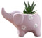 DAGLLGEW Elefant -Pflanzer Keramik Tier Pflanzer 5,5 x 3,2 Zoll Sukkulenten Pflanzer Nicht -Slip -Sukkulenten -Töpfe Elefanten Ornament für Innenhäuser -Gartendesktop
