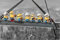 Close Up Despicable Me 2 Poster Ich einfach unverbesserlich 2 (91,5 cm x 61 cm)