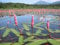 PondPlantsUK 2 x Native Plants for Ponds - Including a Pot and Compost - Live Water Aquatic Lake Marginal (Polygonum Amphibium)