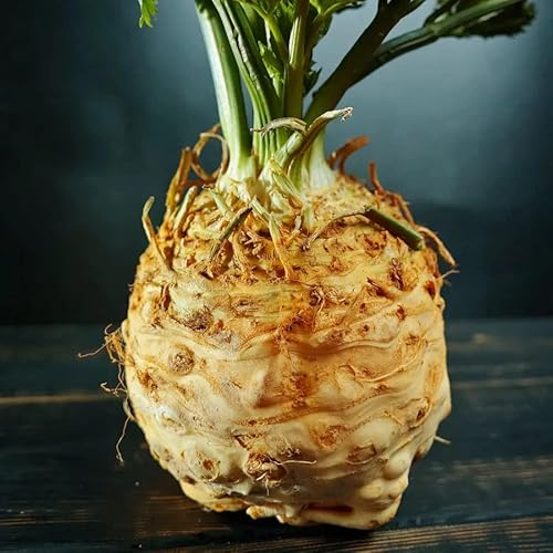 Park Seed, Mars' Organic Celeriac Seeds, Pack of 100 Seeds