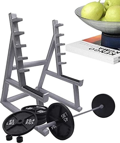 haoying Stifthalter | Squat Rack Schreibtisch Stifthalter | Tragbare Gym Thema Stift Aufbewahrung, Squat Rack Ornamente mit Langhanteln und Gewichten für Home Offices