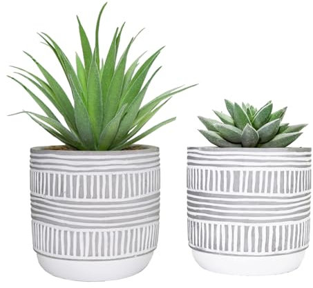HelaCueil Succulent Artificial Plants 18cm & 12.5cm in Cement Pots Set of 2