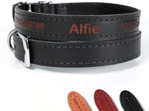 Personalisiertes Leder Hundehalsband (Schwarz, Größe 7) ~ mit Wunschgravur | Laser-graviertes Ancol Halsband für Welpen, Individuell gestaltet mit Wunschtext oder Name ~ Hundemarke aus echtem Leder