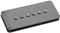 Antiquity Jazzmaster, black neck