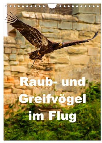 Raub- und Greifvögel im Flug (Wandkalender 2026 DIN A4 hoch), CALVENDO Monatskalender: Faszinierende Raub- und Greifvögel in der Luft beobachtet (CALVENDO Tiere)