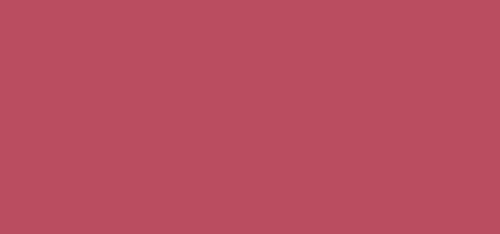 Clairefontaine 1580C Packung mit 25 Karten Pollen in Format DL, 210g 106 x 213mm, bordeaux