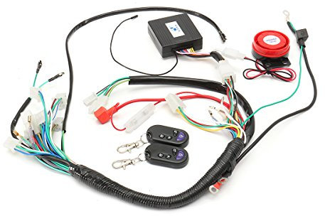 Alamor Kabelbaum Start Schalter Spule Webstuhl Remote Speaker 125Cc 70Cc 125Cc Quad ATV Bike