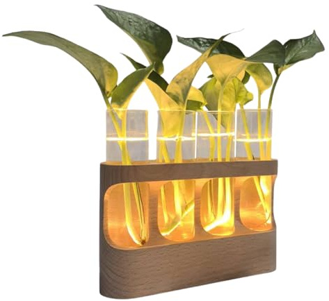 Tyinerc Pflanzenvermehrungsstationen, Terrarium mit verstellbarer LED-Beleuchtung – Glasvase für Pflanzen, für Wohnzimmer, Schlafzimmer und Badezimmer, Jugendliche, Erwachsene