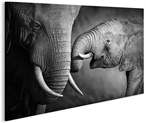 islandburner Bild Bilder auf Leinwand Elefanten V2 1p Elefantenbaby XXL Poster Leinwandbild Wandbild Dekoartikel Wohnzimmer Marke