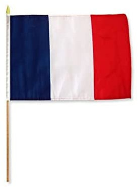 AZ FLAG - Lot de 10 Drapeau France - 45x30 cm - Pack de 10 Drapeaux Français 100% Polyester Avec Hampe en Bois 60 cm
