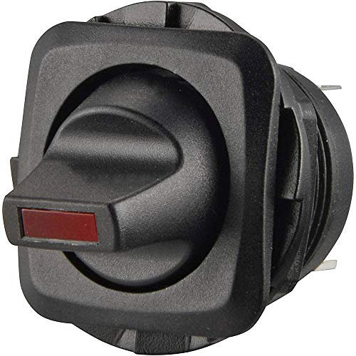 TRU Components WIPPENSCHALTER R13-135LP-02 RT TC