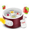 LDSB Fully automaticutomatic Yoghurt Maker, Yoghurt Maker Machine Stainless Steel with 4 Glass Jars 1000ml, Homemade Fresh Yoghurt Maker with Auto Switch-Off Settings, LED Display