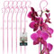 KOTARBAU® 6er Set Pflanzenstütze Rosa 39 cm PVC Blumenstütze Rankhilfe Zimmerpflanzen Blumenstütze Garten Orchideenstab Stützstab Pflanzen dekorative Pflanzenhalter Zimmerpflanzen Rankstäbe