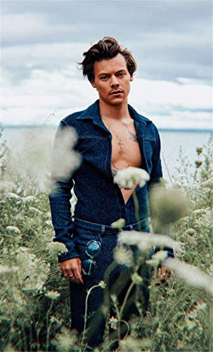 TNXEV 5D-Diamantmalerei, Poster mit Sänger Harry Styles, runde Kristall-Strass-Stickerei, Kreuzstich, handgefertigte Geschenke für Erwachsene und Kinder, 30 x 40 cm